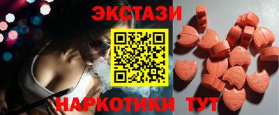 твердый Кингисепп