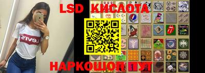 твердый Кингисепп
